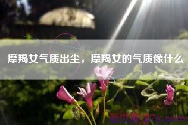 摩羯女气质出尘，摩羯女的气质像什么