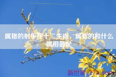 属猪的射手座十二生肖，属猪的和什么属相最配