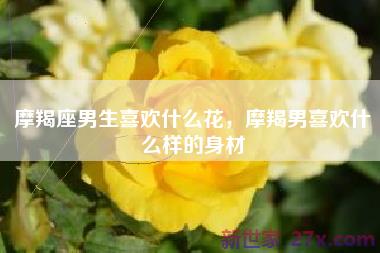 摩羯座男生喜欢什么花，摩羯男喜欢什么样的身材