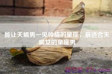 能让天蝎男一见钟情的星座，最适合天蝎女的星座男