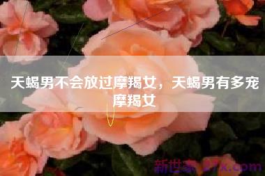 天蝎男不会放过摩羯女，天蝎男有多宠摩羯女