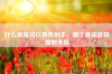 什么星座可以弄死射手，哪个星座能降服射手座