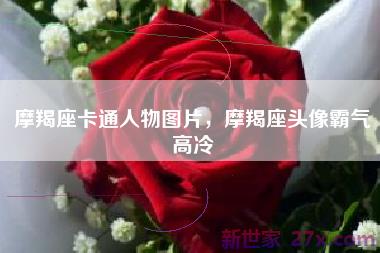 摩羯座卡通人物图片，摩羯座头像霸气高冷