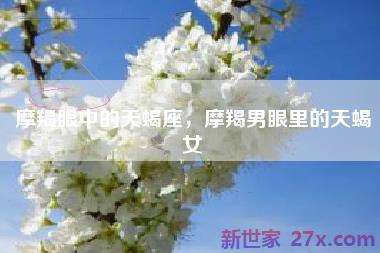 摩羯眼中的天蝎座，摩羯男眼里的天蝎女