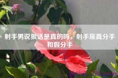 射手男说狠话是真的吗，射手座真分手和假分手