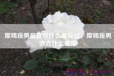 摩羯座男最喜欢什么星座女，摩羯座男适合什么星座