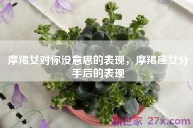 摩羯女对你没意思的表现，摩羯座女分手后的表现