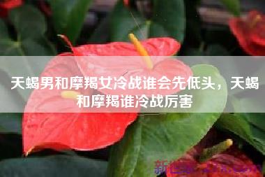 天蝎男和摩羯女冷战谁会先低头，天蝎和摩羯谁冷战厉害