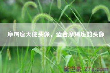 摩羯座天使头像，适合摩羯座的头像