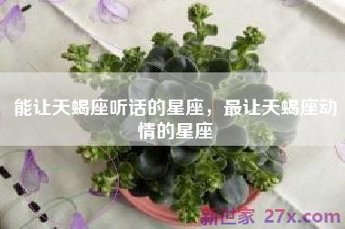 能让天蝎座听话的星座，最让天蝎座动情的星座