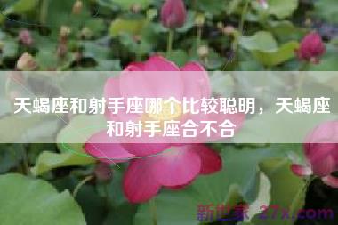 天蝎座和射手座哪个比较聪明，天蝎座和射手座合不合