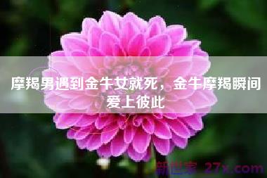 摩羯男遇到金牛女就死，金牛摩羯瞬间爱上彼此