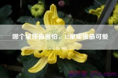 哪个星座最害怕，12星座谁最可爱