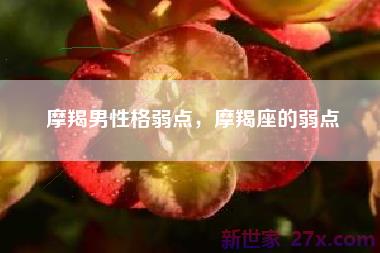 摩羯男性格弱点，摩羯座的弱点