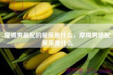 魔蝎男最配的星座是什么，摩羯男绝配星座是什么