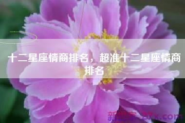 十二星座情商排名，超准十二星座情商排名