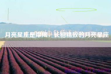 月亮星座是摩羯，长相精致的月亮星座