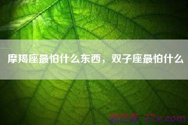 摩羯座最怕什么东西，双子座最怕什么