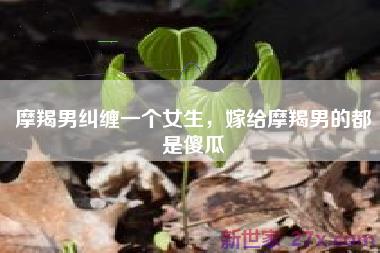 摩羯男纠缠一个女生，嫁给摩羯男的都是傻瓜