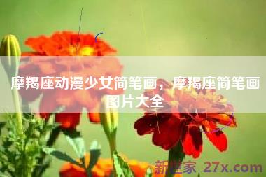 摩羯座动漫少女简笔画，摩羯座简笔画图片大全