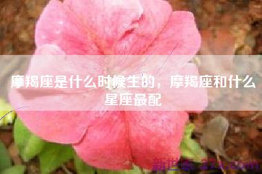 摩羯座是什么时候生的，摩羯座和什么星座最配
