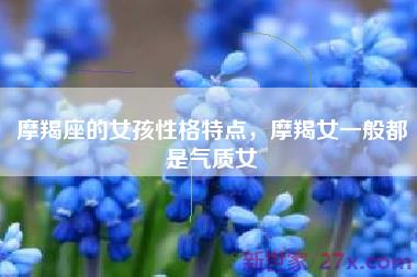 摩羯座的女孩性格特点，摩羯女一般都是气质女