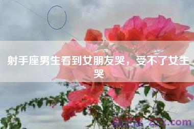 射手座男生看到女朋友哭，受不了女生哭