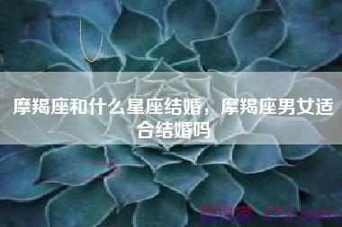 摩羯座和什么星座结婚，摩羯座男女适合结婚吗
