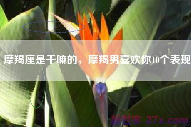 摩羯座是干嘛的，摩羯男喜欢你10个表现