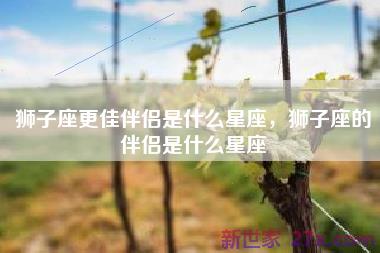 狮子座更佳伴侣是什么星座，狮子座的伴侣是什么星座