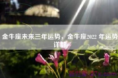金牛座未来三年运势，金牛座2022 年运势详解
