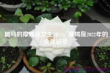 属马的摩羯座女生2022，摩羯座2022年的全年运势