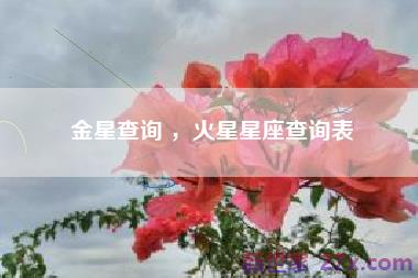 金星查询 ，火星星座查询表