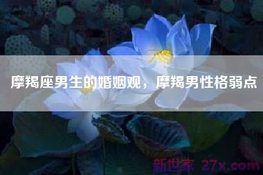 摩羯座男生的婚姻观，摩羯男性格弱点