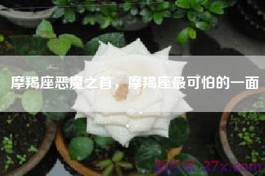 摩羯座恶魔之首，摩羯座最可怕的一面