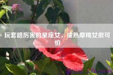 玩套路厉害的星座女，成熟摩羯女很可怕