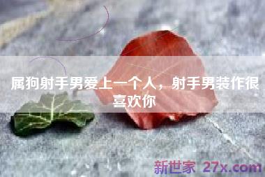 属狗射手男爱上一个人，射手男装作很喜欢你