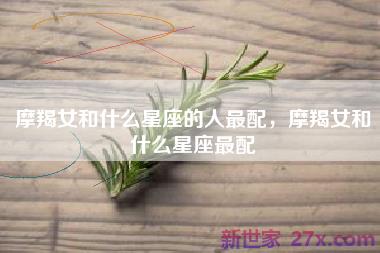 摩羯女和什么星座的人最配，摩羯女和什么星座最配