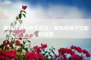 摩羯座男与狮子座女，摩羯男狮子女配对指数