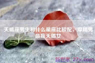 天蝎座男生和什么星座比较配，摩羯男最疼天蝎女