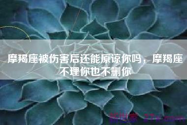 摩羯座被伤害后还能原谅你吗，摩羯座不理你也不删你