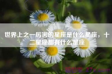 世界上之一厉害的星座是什么星座，十二星座都有什么星座