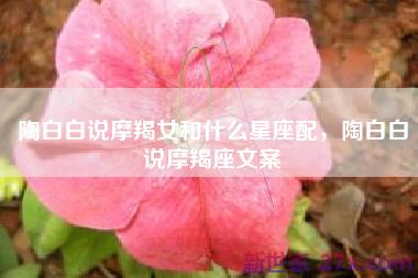 陶白白说摩羯女和什么星座配，陶白白说摩羯座文案
