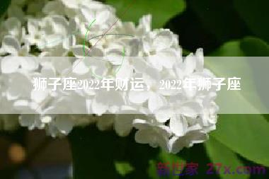 狮子座2022年财运，2022年狮子座