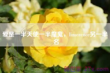 爱是一半天使一半魔鬼，limerence另一半 名