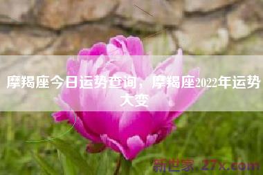 摩羯座今日运势查询，摩羯座2022年运势大变