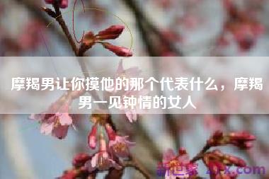 摩羯男让你摸他的那个代表什么，摩羯男一见钟情的女人