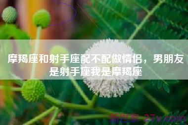 摩羯座和射手座配不配做情侣，男朋友是射手座我是摩羯座
