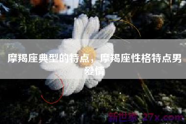 摩羯座典型的特点，摩羯座性格特点男爱情