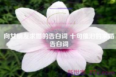 向女朋友求婚的告白词 十句催泪的求婚告白词